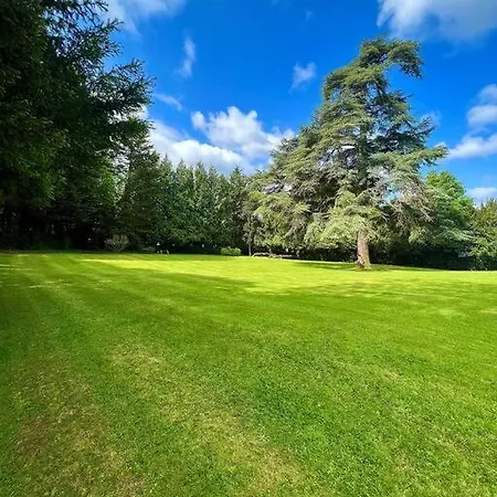 The Beeches - Entire Mansion * Bristol
